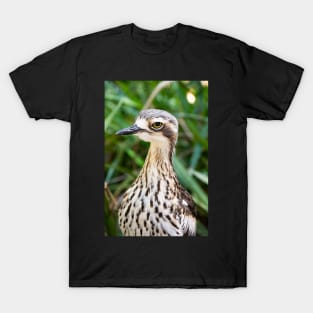 Bush stone curlew bird. T-Shirt